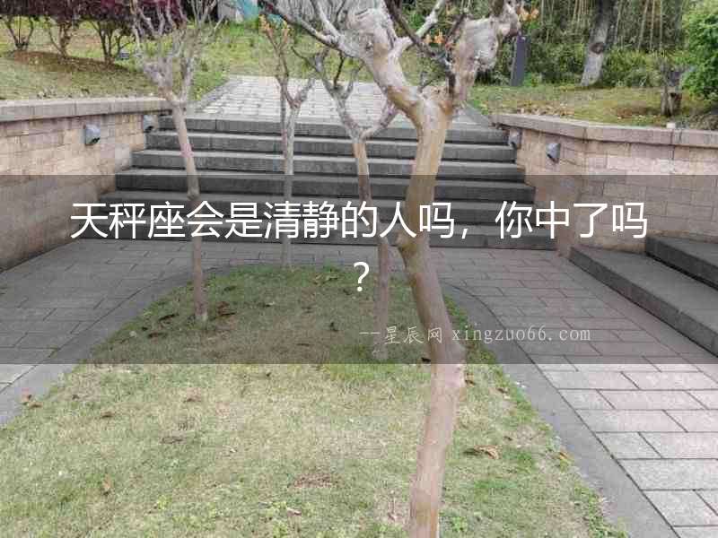 天秤座會是清靜的人嗎，你中了嗎？