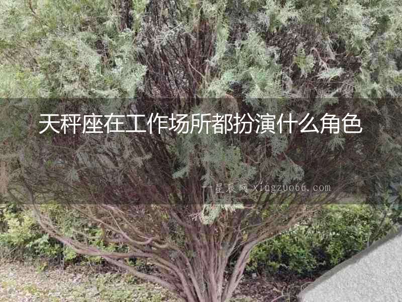 天秤座在工作場所都扮演什么角色