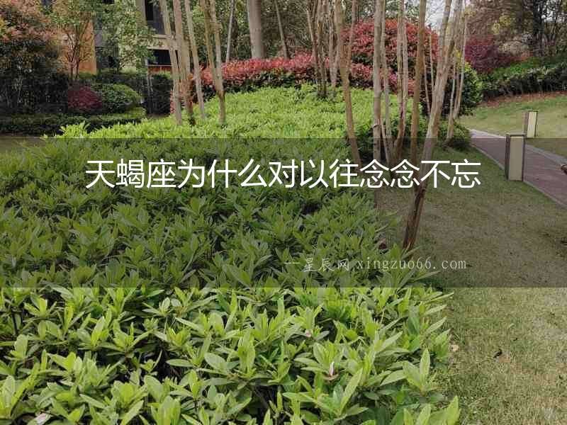 天蝎座為什么對(duì)以往念念不忘