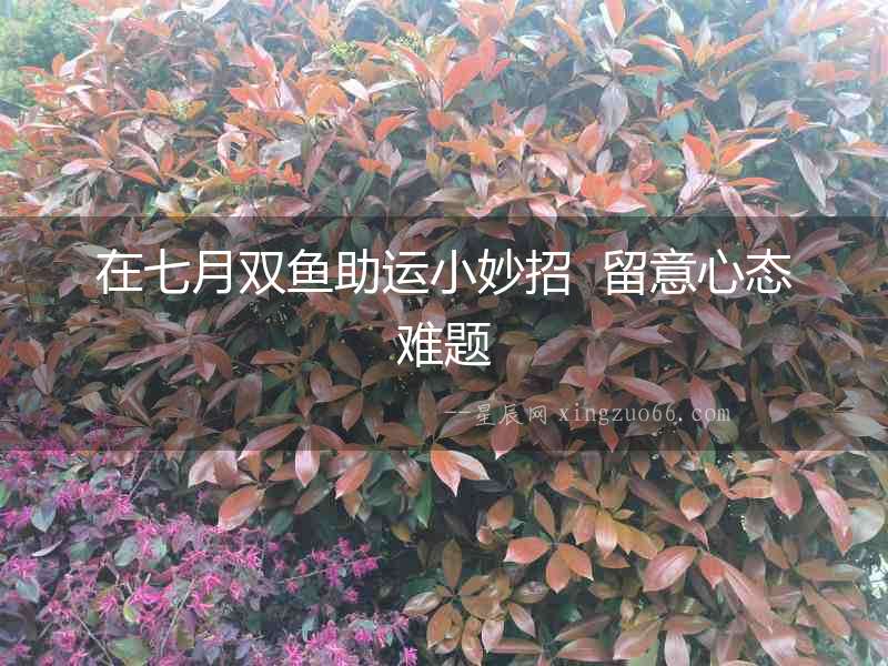 在七月雙魚助運小妙招  留意心態難題