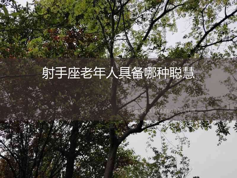 射手座老年人具備哪種聰慧