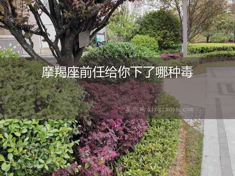 摩羯座前任給你下了哪種毒