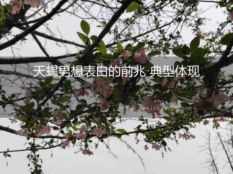 天蝎男想表白的前兆 典型體現(xiàn)