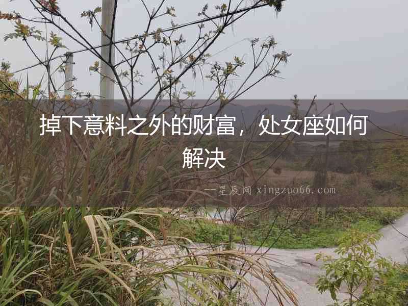 掉下意料之外的財(cái)富，處女座如何解決