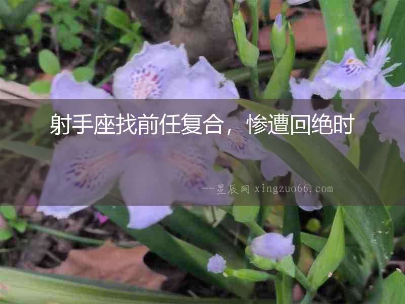 射手座找前任復合，慘遭回絕時