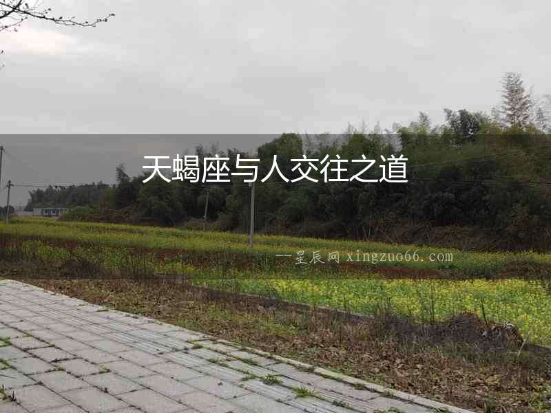 天蝎座與人交往之道