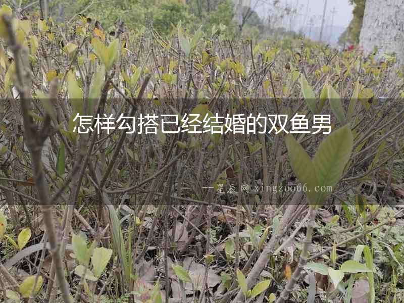怎樣勾搭已經結婚的雙魚男