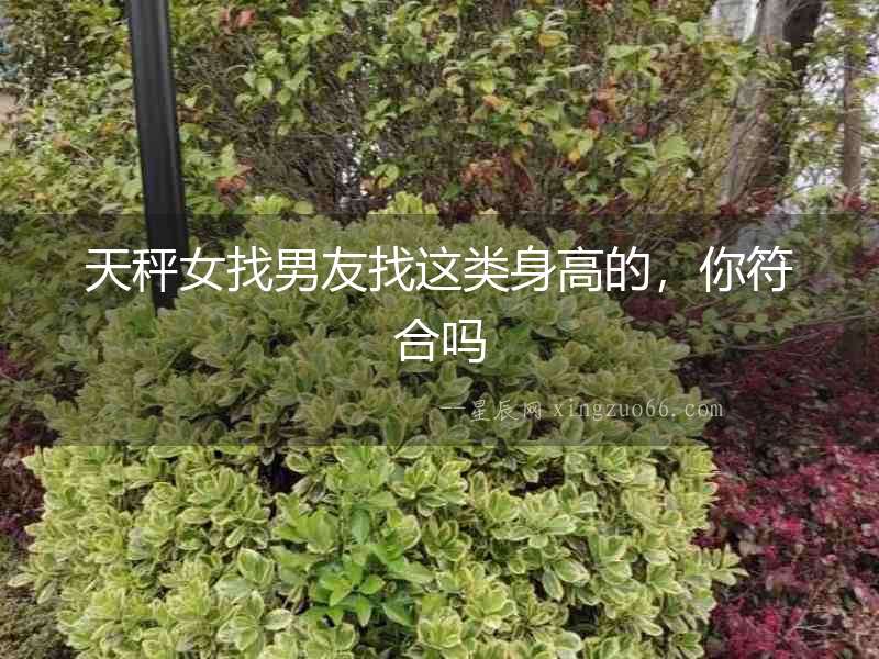天秤女找男友找這類身高的，你符合嗎