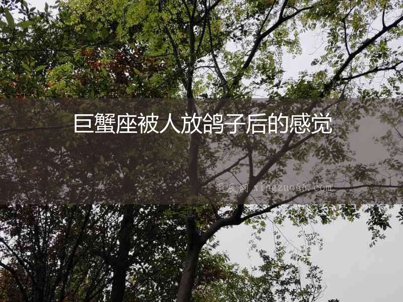 巨蟹座被人放鴿子后的感覺