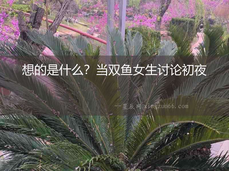 想的是什么？當雙魚女生討論初夜