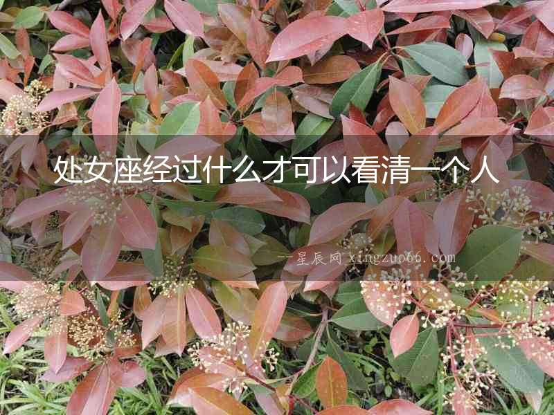 處女座經過什么才可以看清一個人