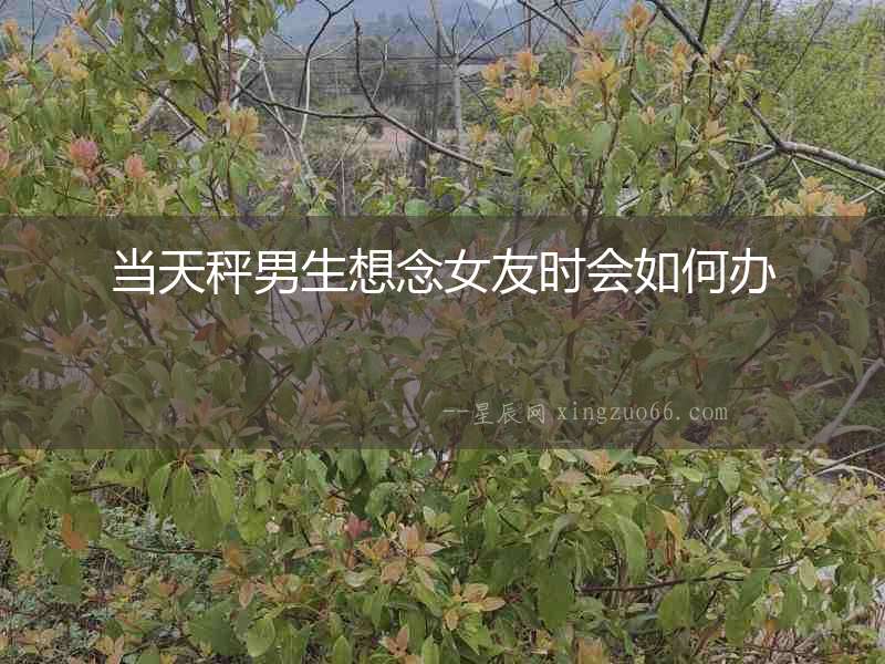 當(dāng)天秤男生想念女友時會如何辦