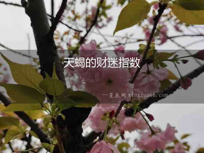 天蝎的財迷指數