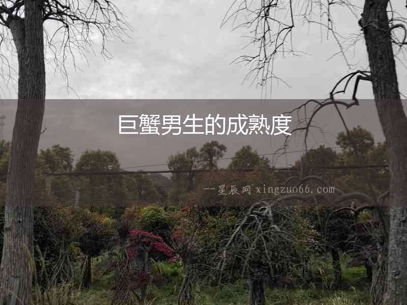 巨蟹男生的成熟度