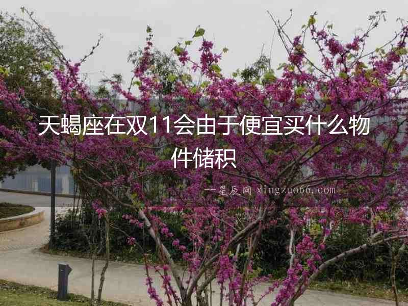 天蝎座在雙11會(huì)由于便宜買什么物件儲(chǔ)積