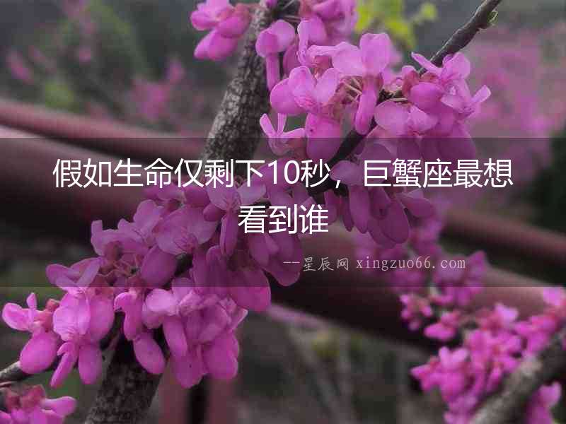 假如生命僅剩下10秒，巨蟹座最想看到誰