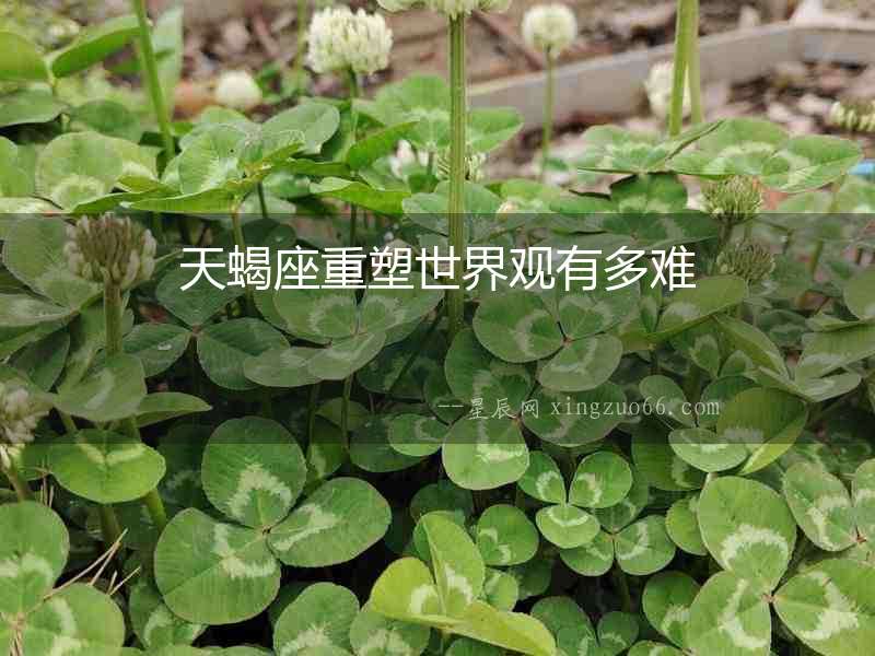 天蝎座重塑世界觀有多難