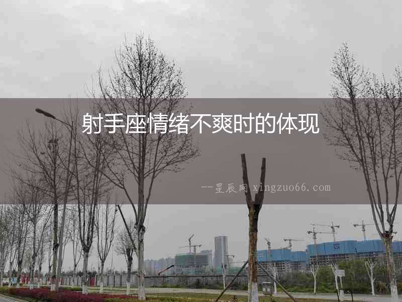 射手座情緒不爽時的體現