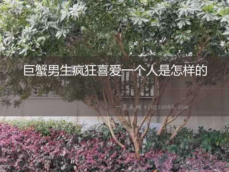 巨蟹男生瘋狂喜愛一個人是怎樣的
