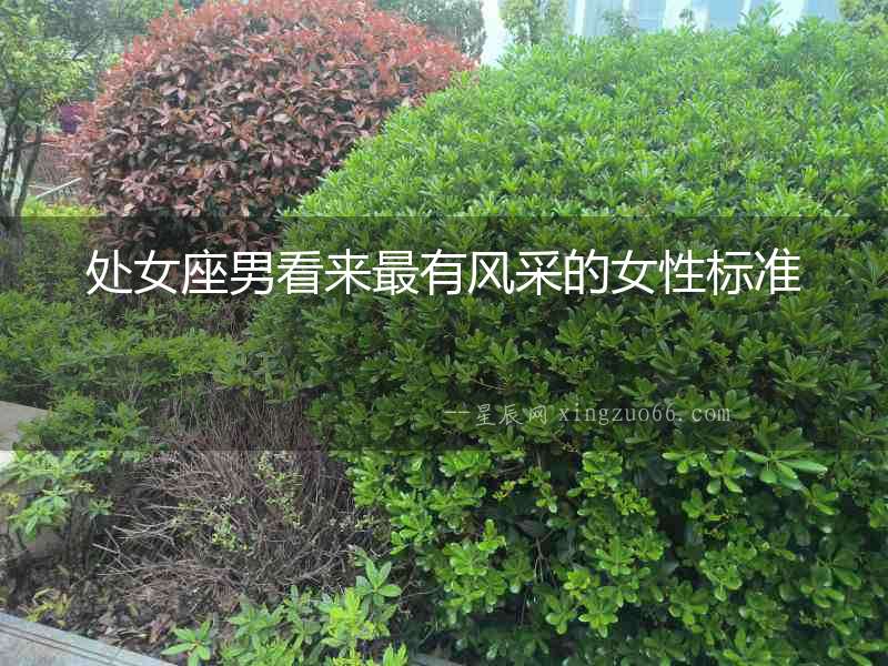 處女座男看來最有風采的女性標準