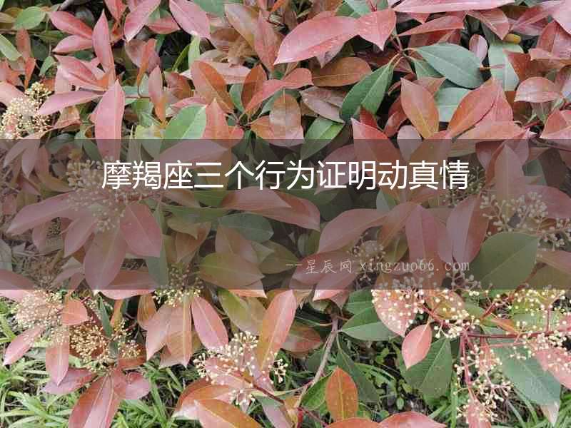 摩羯座三個(gè)行為證明動(dòng)真情
