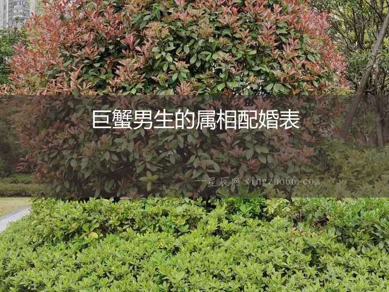巨蟹男生的屬相配婚表