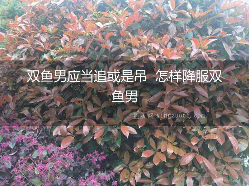 雙魚男應當追或是吊  怎樣降服雙魚男