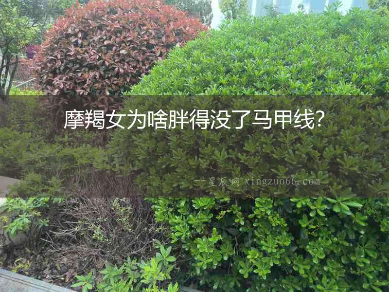 摩羯女為啥胖得沒了馬甲線？
