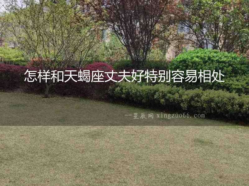 怎樣和天蝎座丈夫好特別容易相處