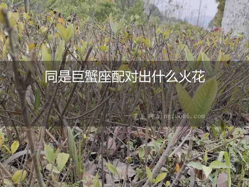 同是巨蟹座配對出什么火花