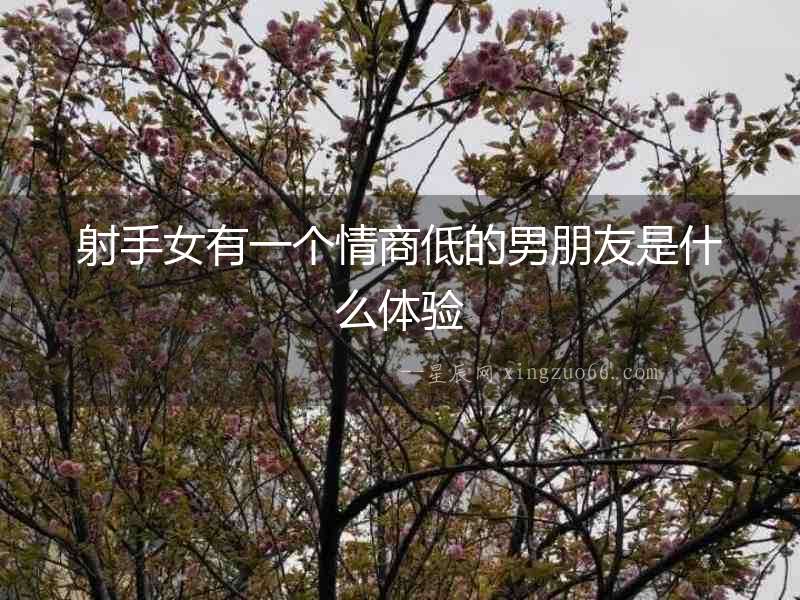 射手女有一個情商低的男朋友是什么體驗