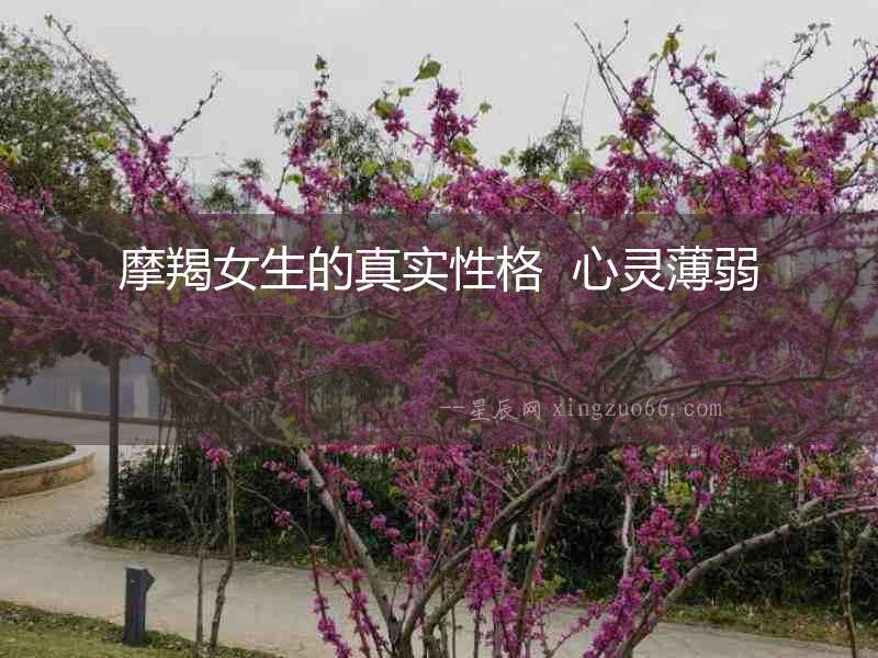 摩羯女生的真實性格  心靈薄弱