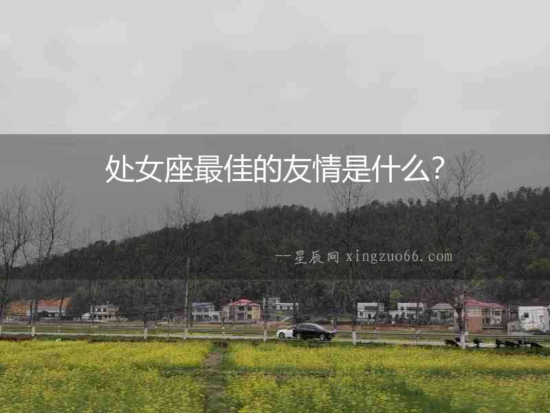 處女座最佳的友情是什么？