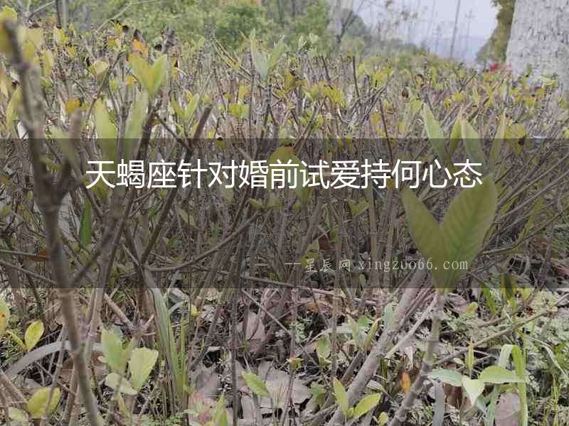 天蝎座針對婚前試愛持何心態