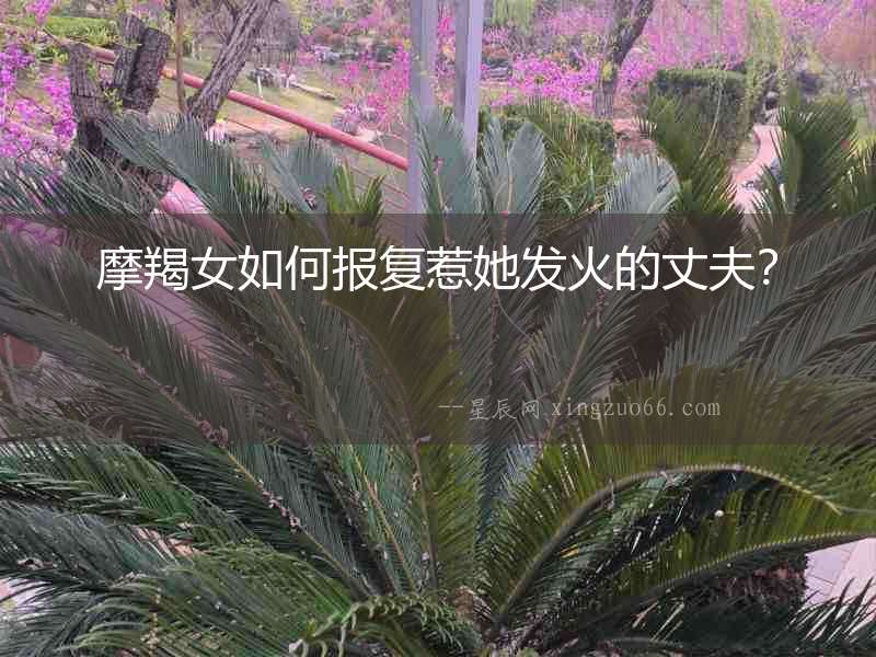 摩羯女如何報復惹她發火的丈夫？