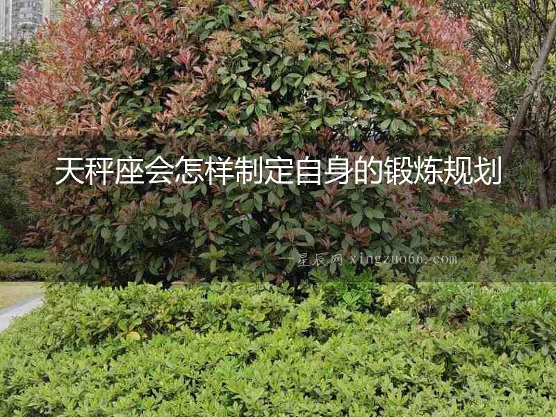 天秤座會怎樣制定自身的鍛煉規(guī)劃