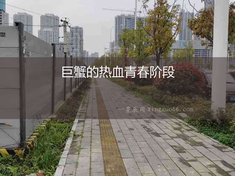 巨蟹的熱血青春階段
