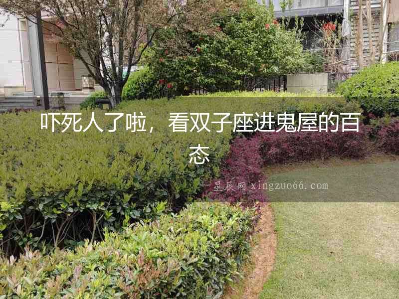 嚇?biāo)廊肆死玻措p子座進(jìn)鬼屋的百態(tài)