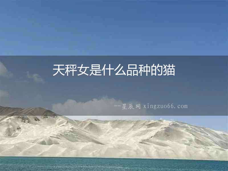 天秤女是什么品種的貓