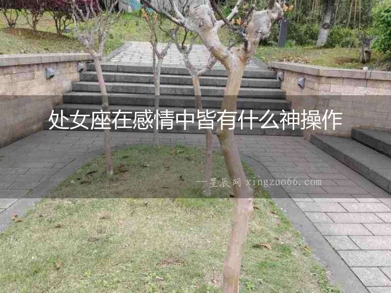 處女座在感情中皆有什么神操作