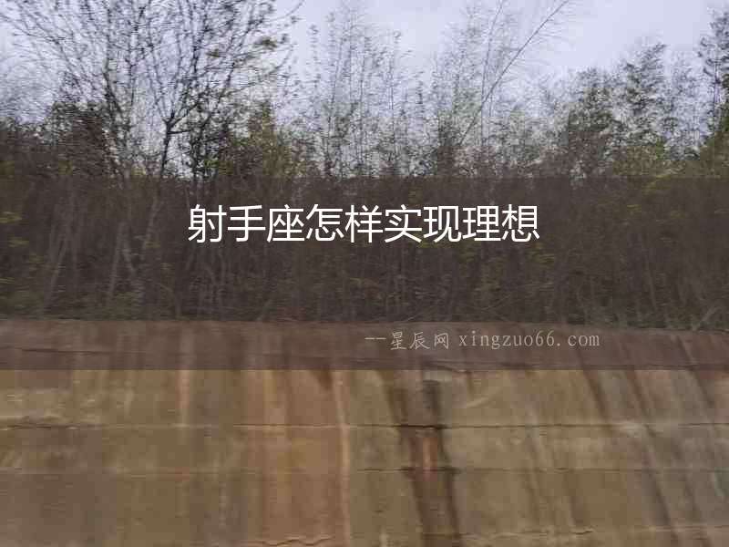 射手座怎樣實現理想