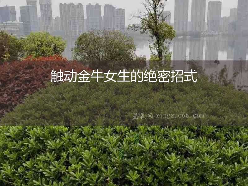 觸動金牛女生的絕密招式