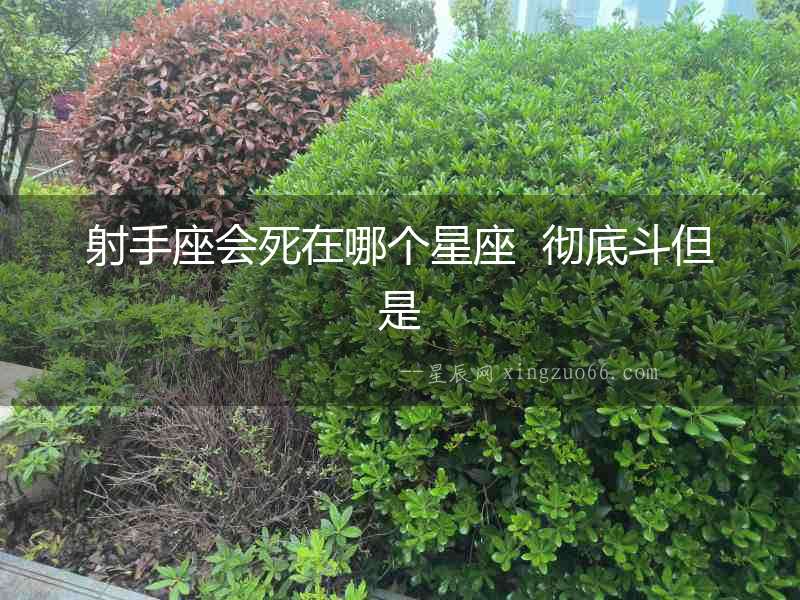 射手座會死在哪個星座  徹底斗但是