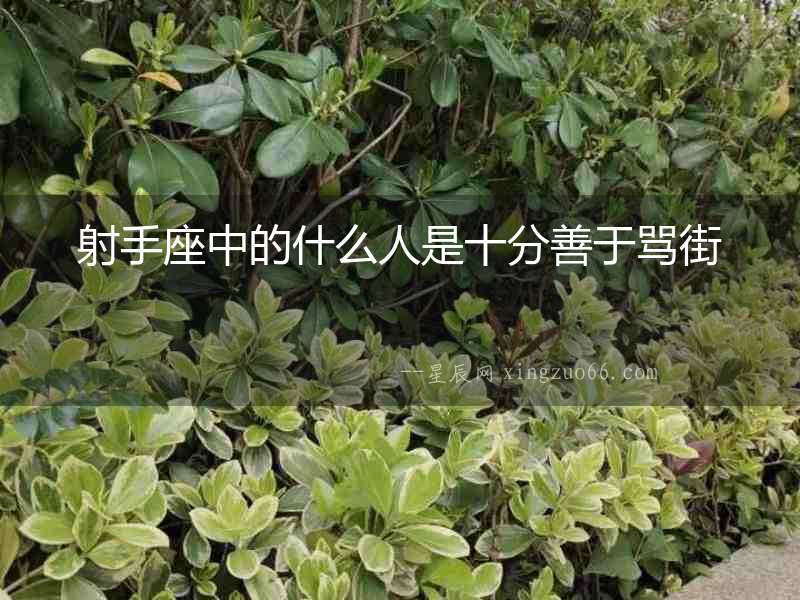 射手座中的什么人是十分善于罵街