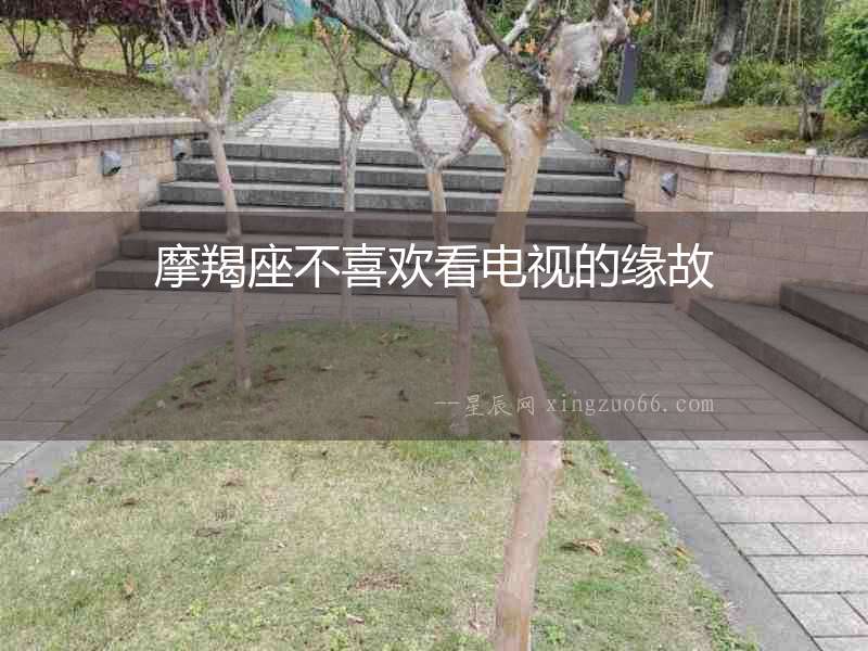 摩羯座不喜歡看電視的緣故