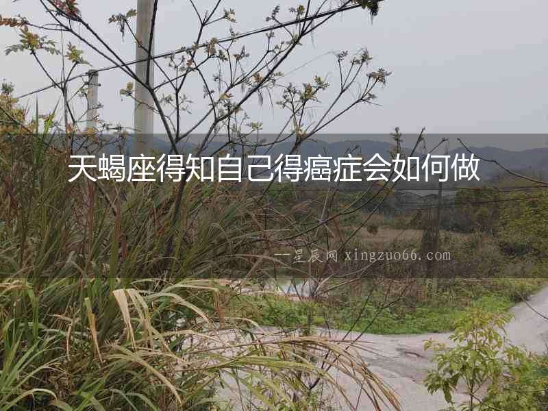天蝎座得知自己得癌癥會如何做