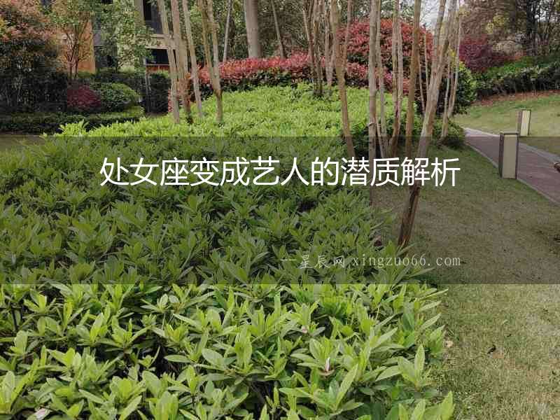 處女座變成藝人的潛質(zhì)解析
