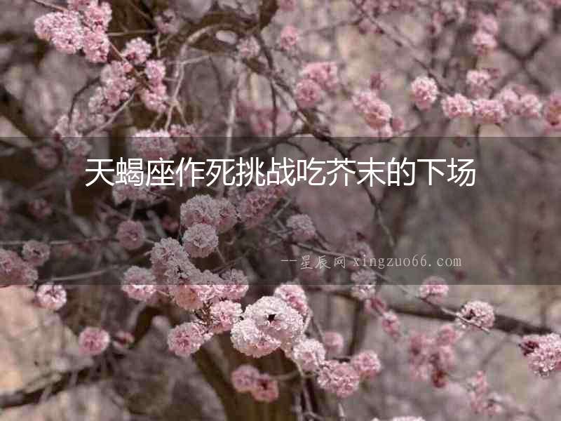天蝎座作死挑戰吃芥末的下場
