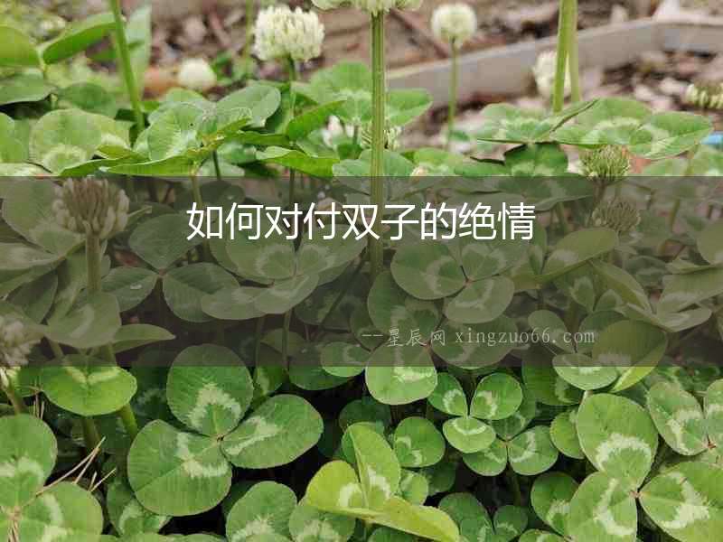 如何對(duì)付雙子的絕情