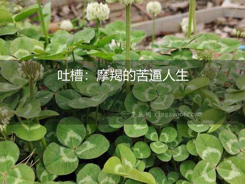 吐槽：摩羯的苦逼人生